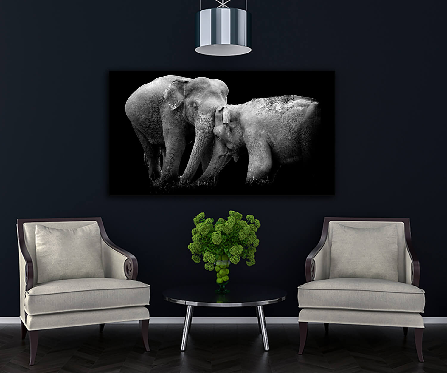 WEB004 0020 MP 0004 22503956 elephant on dark background AOAY5528