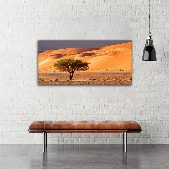 WEB004_0023_MOCKUP__0001_45478594_desert-landscape-with-tree-namibia AOAY4767