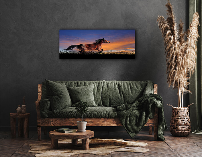 WEB004 0024 ML 0008 22639492 The horse on the background of sunset sky AOAY5560