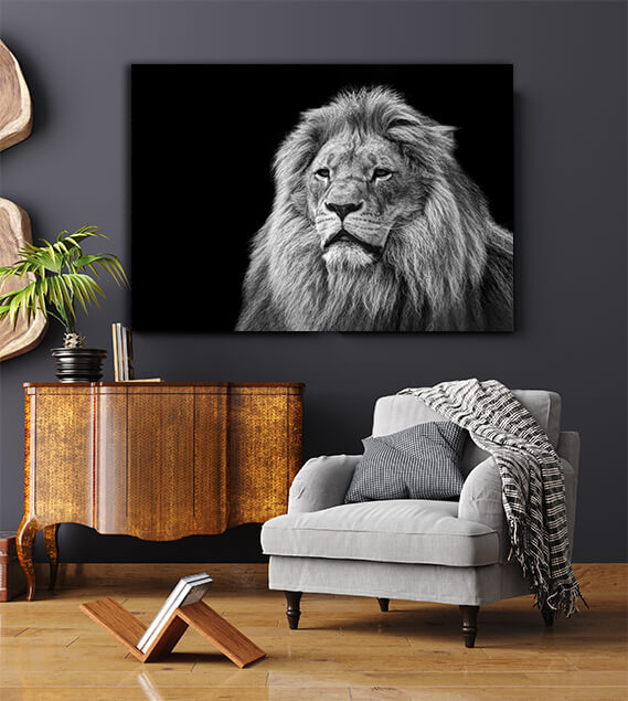 WEB004 0027 ML 0004 art 0010 9799376 B&W lion portrait on black ART AOAY8144