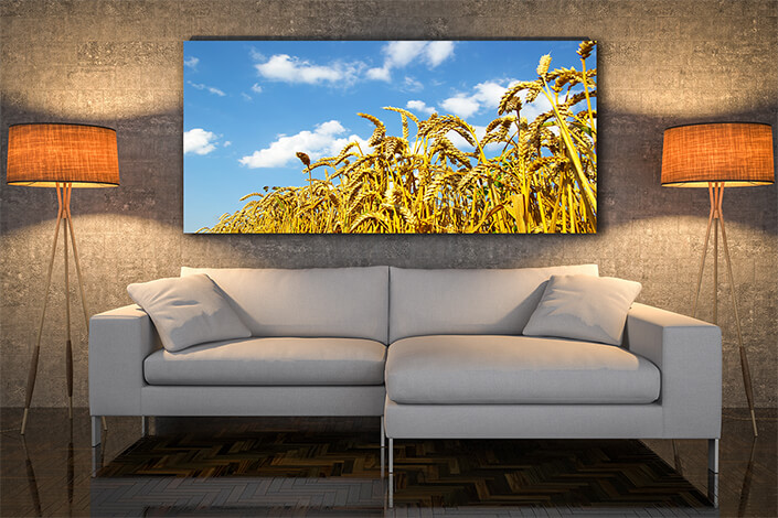WEB004 0027 MOCKUP 0054 4757984 wheat AOAY7652
