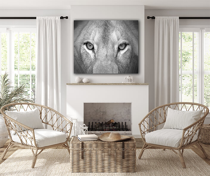 Web004 0029 ml 0006 art 0005 27965766 female lion eyes close up aoay8149