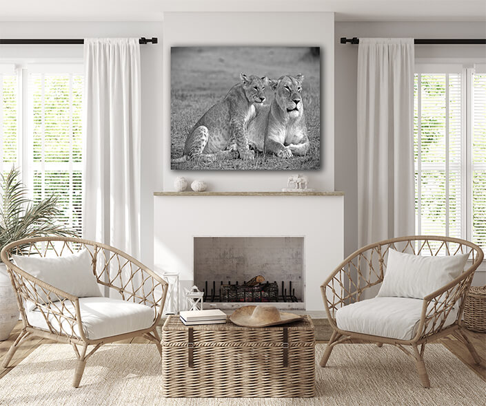 WEB004 0032 ML 0002 1043973 lioness and cub AOAY7743