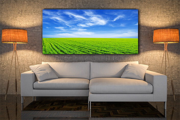 WEB004 0032 MOCKUP 0049 5729188 field AOAY7658