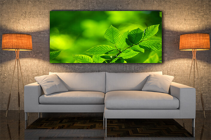 WEB004 0035 MOCKUP 0046 5729308 Nice green leaves AOAY7661