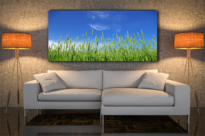 WEB004 0036 MOCKUP 0045 5729322 wheat field AOAY7662
