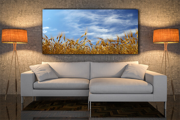 WEB004 0037 MOCKUP 0044 5729326 wheat ears AOAY7663