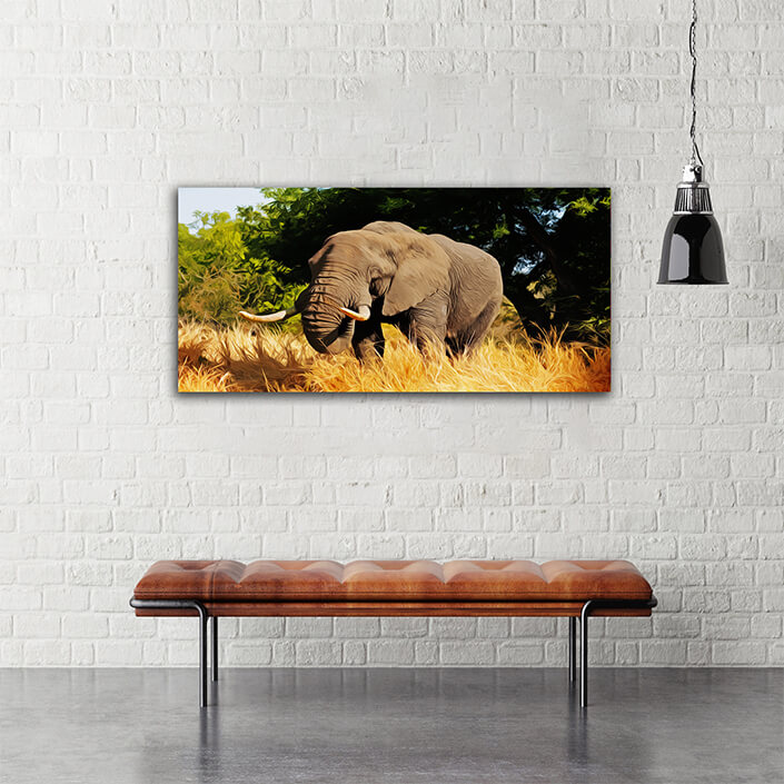 WEB004_0039_MOCKUP__0036_39404560_The african bull elephant kruger national park AOAY3891