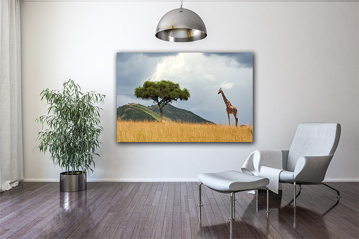 WEB004_0040_MOCKUP__0044_22505236_landscape with tree in Africa (1) AOAY5541