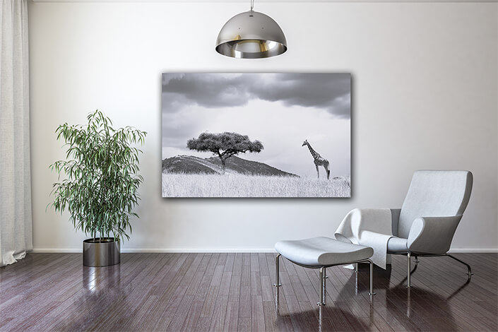 WEB004 0041 MOCKUP 0043 22505236 landscape with tree in Africa AOAY8838