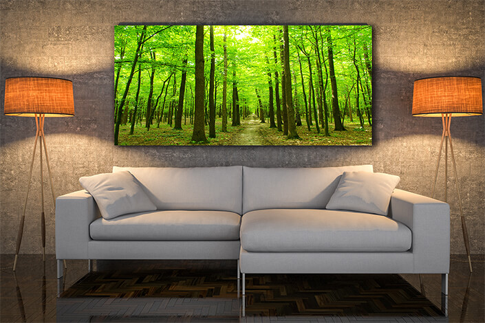 WEB004 0042 MOCKUP 0039 5750318 forest green trees AOAY7668