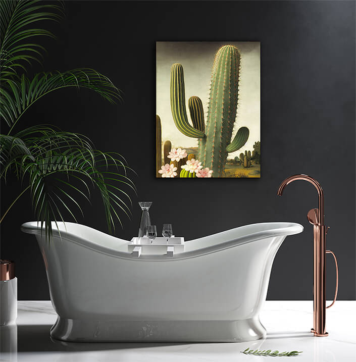 WEB004 0043 ML 0049 49132460 an artistic illustration of a pink cactus flower and its prickly stem AOAY8190