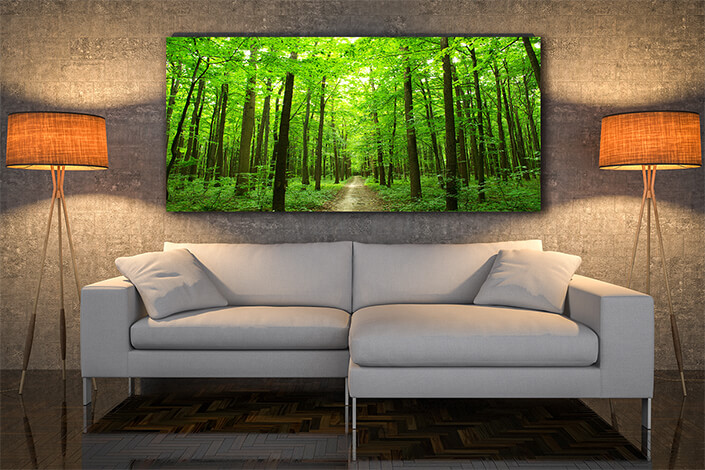 WEB004_0044_MOCKUP_0037_5750416_green forest and road AOAY7670