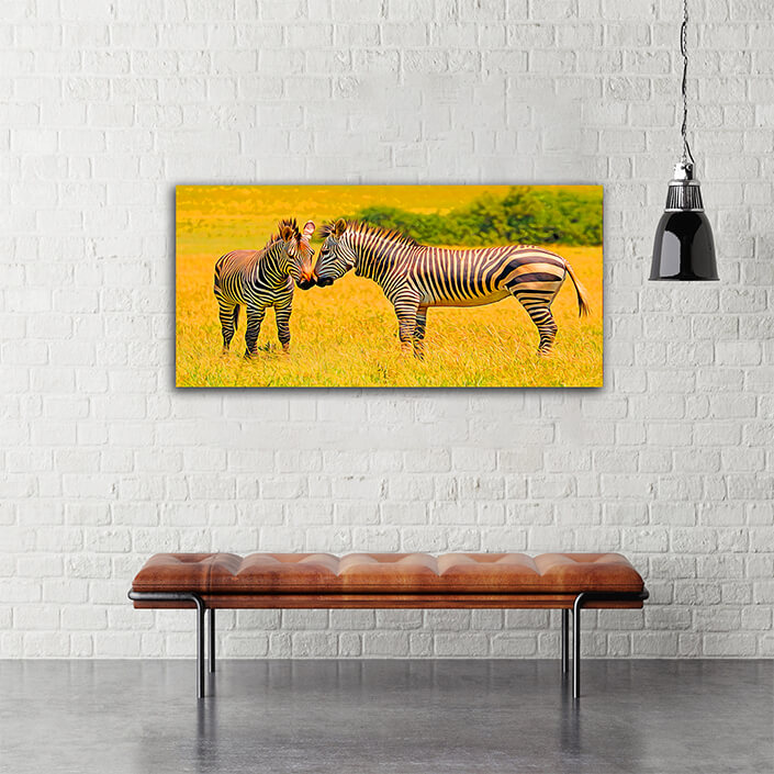 WEB004 0045 MOCKUP 0030 48199964 hartmanns mountain zebras at is natural habitat AOAY3890