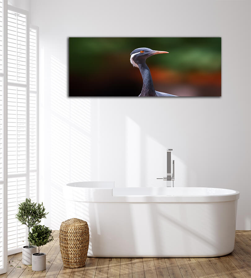 WEB004 0045 MOCKUPs 0020 37203172 heron observes nature and looks for food AOAY6032