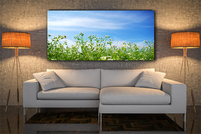 WEB004 0047 MOCKUP 0034 5751212 camomiles field AOAY7673