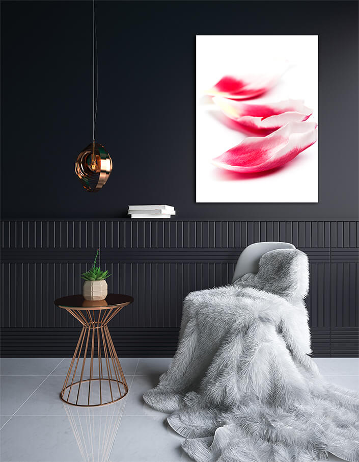 WEB004 0049 MPortrate 0082 618236 pink tulip petals AOAY7562