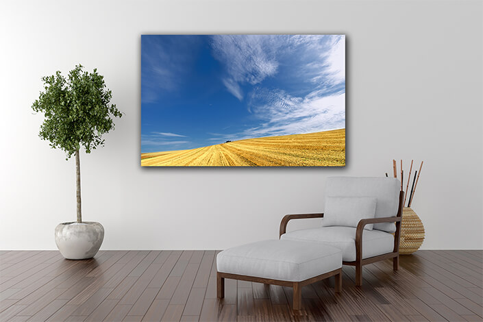 WEB004 0051 MP 0036 4014302 Nice field and sky landscape AOAY7297