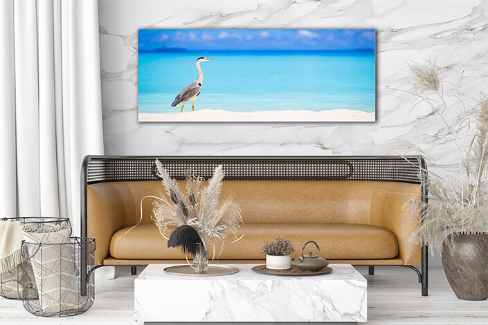 WEB004_0052_ML_0034_30477476_grey heron standing on white beach on tropical island in indiaan ocean AOAY6563