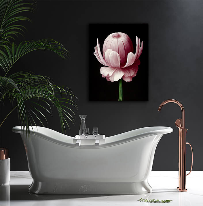 WEB004 0052 ML 0040 49132508 artistic illustration of the pink anemone flower AOAY8199