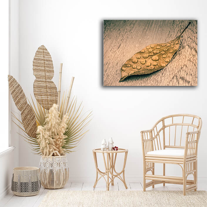 WEB004 0053 MS 0036 35551948 dry leaf on greybackground AOAY6140