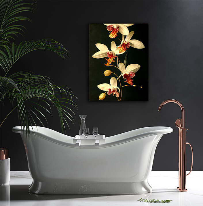 WEB004 0054 ML 0038 49132548 artistic illustration of the colorful orchid flower AOAY8201