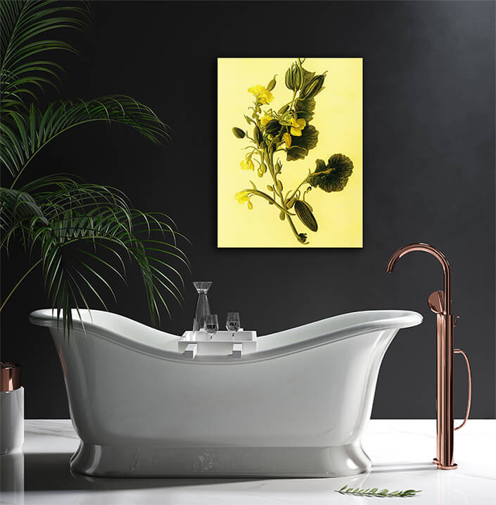 WEB004 0055 ML 0037 49132556 artistic illustration of yellow sweet pea flowers AOAY8202