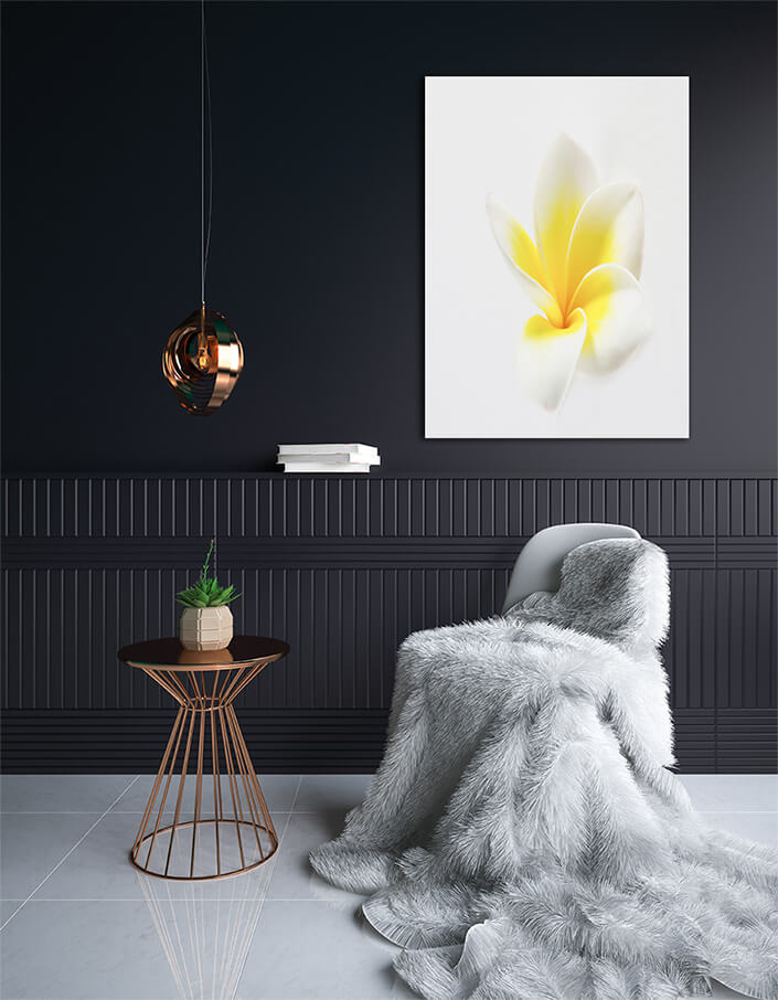 WEB004 0074 MPortrate 0057 2989575 plumeria AOAY7588