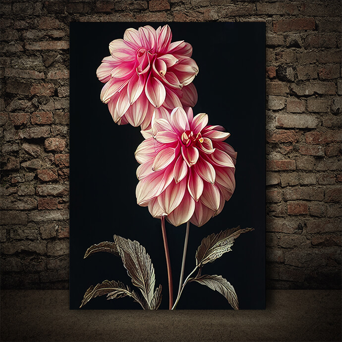 WEB005 0000 ML 0035 49132604 artistic illustration of the pink dahlia flower AOAY8204