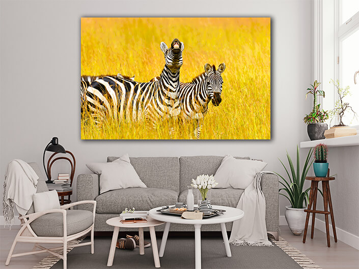 WEB005 0001 MOCKUP 0031 22675738 zebra AOAY5576