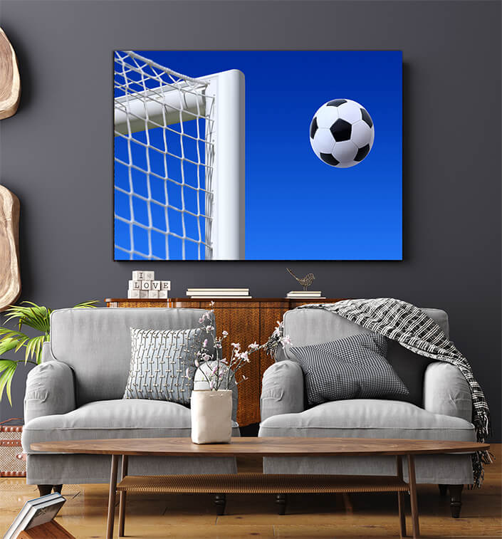 WEB005 0001 MS 0022 2830077 goal AND ball AOAY5086