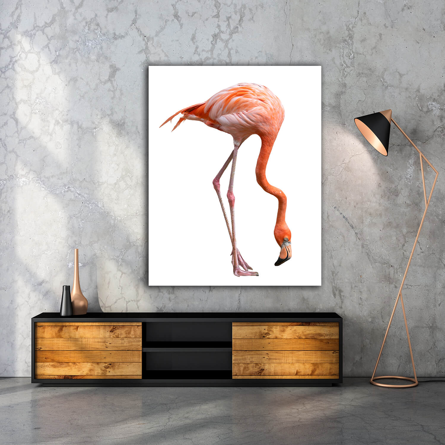 WEB005 0003 MP 0026 28009266 american flamingo bird phoenicopterus ruber isolated on white AOAY6444