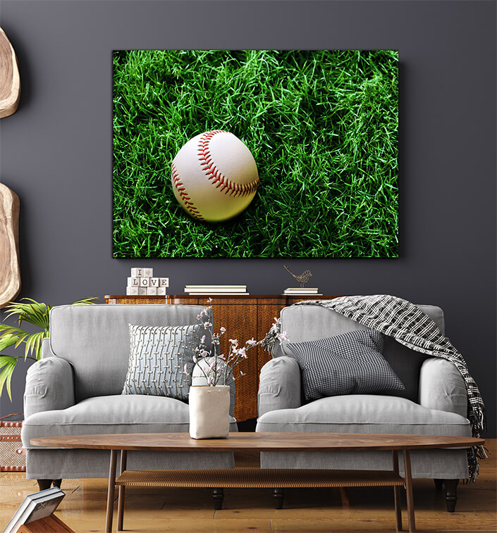 WEB005 0003 MS 0020 2903709 baseball on grass AOAY5098