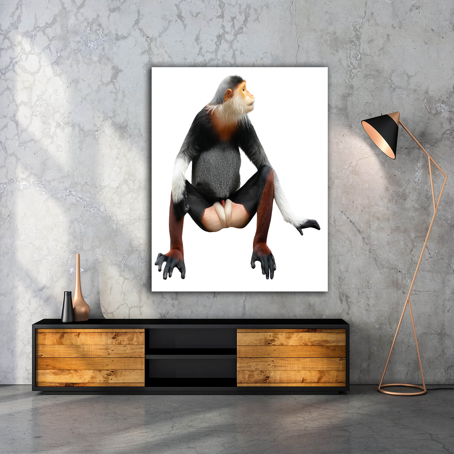 WEB005 0004 MP 0025 28076518 red shanked douc langur isolated on white background AOAY6447