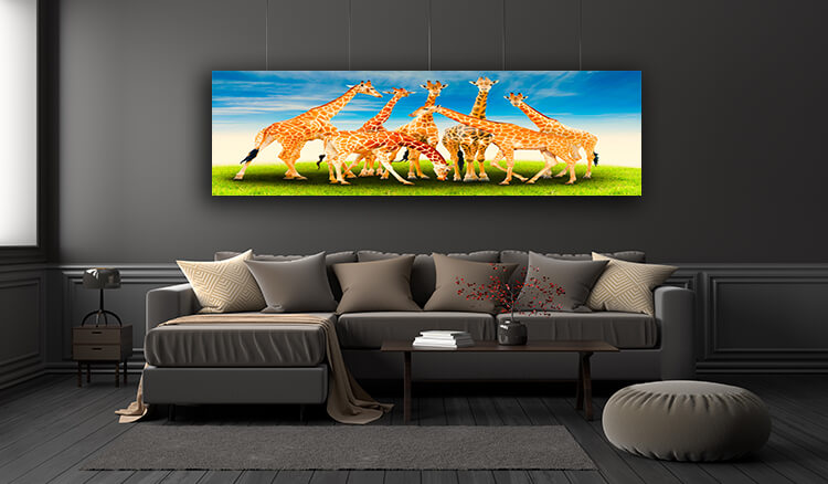 WEB005 0005 ML 0027 20990816 group of giraffe AOAY4627