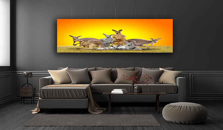 WEB005 0006 ML 0026 20990850 group of kangaroo AOAY4628