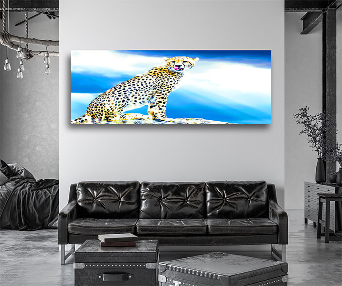 WEB005 0006 MP 0027 22676228 A wild African cheetah AOAY8128