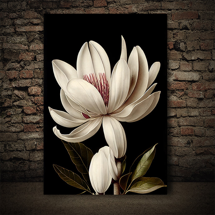 WEB005 0007 ML 0028 49132690 artistic illustration of the beautiful creamy magnolia flower AOAY8212