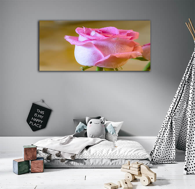 WEB005 0009 ML 0012 46802616 the beautiful pink rose with dew on blurred background with copy space AOAY4818