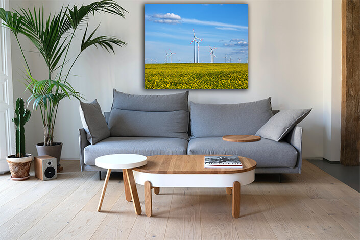 WEB005 0009 MP 0014 31043920 flowering canola field with wind energy generators AOAY7375