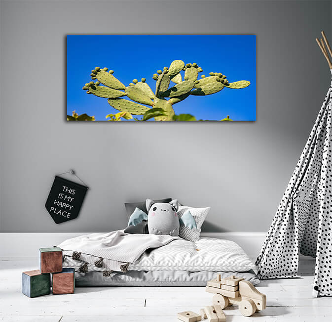 WEB005 0011 ML 0010 46992824 green desert cactus bush on blue sky background AOAY4821