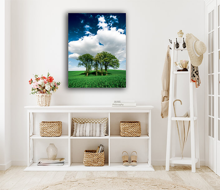 WEB005 0011 MP 0017 26872710 trees over the grain field AOAY6424