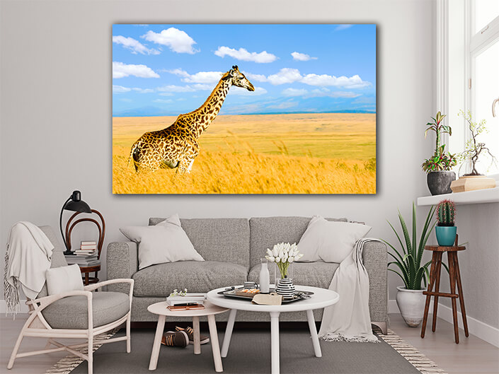 WEB005_0014_MOCKUP__0017_22676450_giraffe on savannah in africa AOAY5592