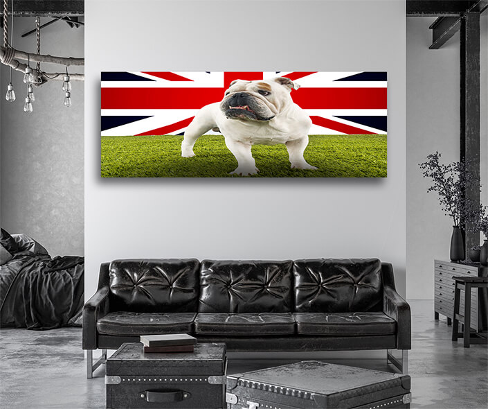 WEB005 0014 MP 0019 34604976 a still life photography of a dog with UK flag AOAY6278