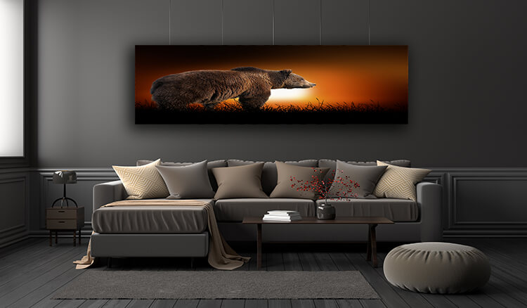 WEB005 0015 ML 0017 22639474 bear on the background of sunset AOAY5553