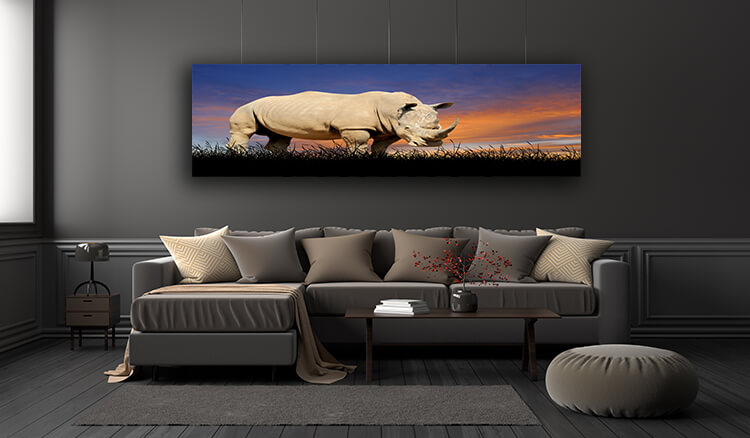 WEB005 0016 ML 0016 22639478 The Rhino on the background of sunset sky AOAY5554