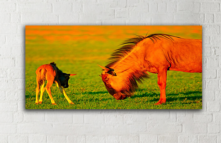 WEB005_0016_MOCKUP__0008_45478590_The wildebeest-with-young-calf AOAY3375