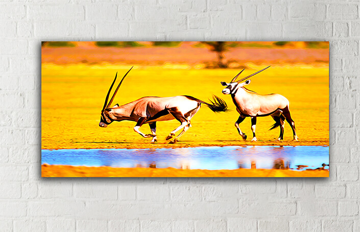 WEB005_0017_MOCKUP__0007_47035246_The gemsbok-antelopes-at-a-waterhole AOAY8108