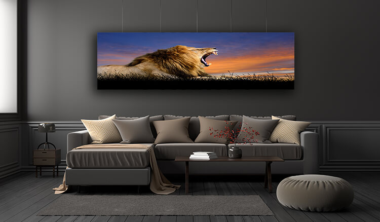 WEB005 0018 ML 0014 22639482 The lion on the background of sunset sky AOAY5556