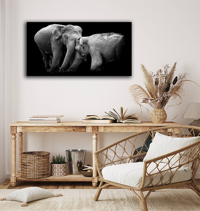 WEB005 0019 MP 0004 22503956 elephant on dark background AOAY5528